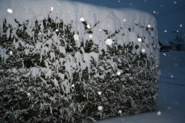 Winter Storm Atlas